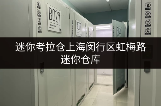 迷你考拉仓上海闵行区虹梅路迷你仓库,打造货物存放省心新方案 迷你考拉仓上海闵行区虹梅路迷你仓库,打造货物存放省心新方案