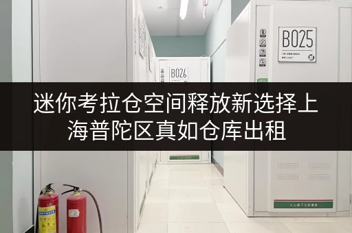 迷你考拉仓空间释放新选择上海普陀区真如仓库出租，为家庭生活添彩