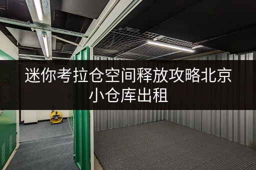 迷你考拉仓空间释放攻略北京小仓库出租，让办公空间焕然一新
