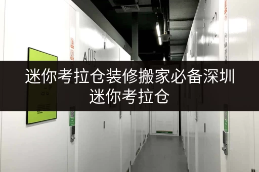 迷你考拉仓装修搬家必备深圳迷你考拉仓，您的临时存储好帮手！