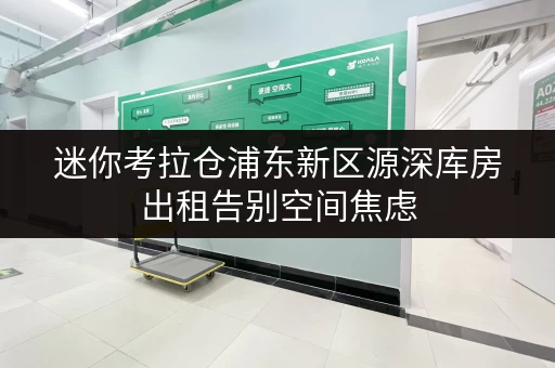 迷你考拉仓浦东新区源深库房出租告别空间焦虑，货物存放更省心存储方案