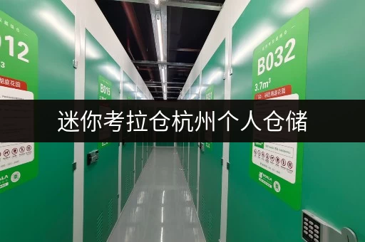 迷你考拉仓杭州个人仓储,办公空间释放新选择 迷你考拉仓杭州个人仓储,办公空间释放新选择