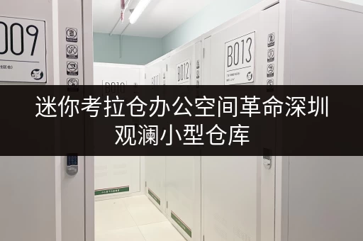 迷你考拉仓办公空间革命深圳观澜小型仓库，如何释放你的办公空间？