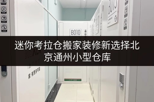 迷你考拉仓搬家装修新选择北京通州小型仓库，您的临时存储方案，价格透明揭秘！