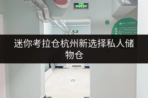 迷你考拉仓杭州新选择私人储物仓，让货物存放更省心！