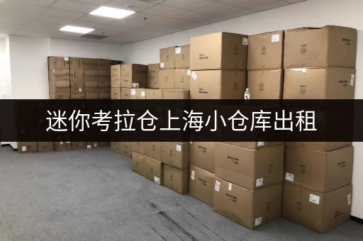 迷你考拉仓上海小仓库出租,价格透明攻略,帮你省下一大笔! 迷你考拉仓上海小仓库出租,价格透明攻略,帮你省下一大笔!