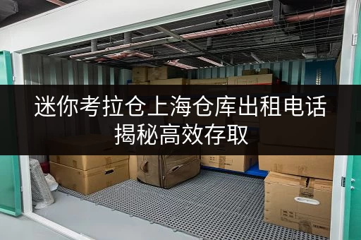 迷你考拉仓上海仓库出租电话揭秘高效存取，全天候服务，轻松管理你的仓储需求