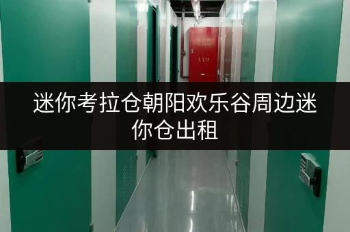 迷你考拉仓朝阳欢乐谷周边迷你仓出租，存取无忧，全天候服务，轻松释放生活空间
