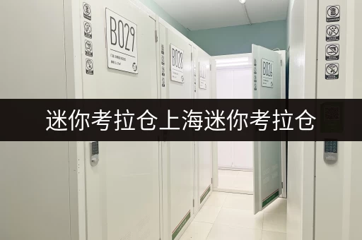 迷你考拉仓上海迷你考拉仓,轻松解决设备工具存放难题,随存随取更便捷! 迷你考拉仓上海迷你考拉仓,轻松解决设备工具存放难题,随存随取更便捷!