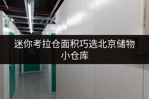 迷你考拉仓面积巧选北京储物小仓库,打造你的私人空间宝藏库 迷你考拉仓面积巧选北京储物小仓库,打造你的私人空间宝藏库