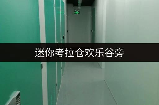 迷你考拉仓欢乐谷旁，北京朝阳区仓库出租新选择——迷你考拉仓，货物存放更省心！
