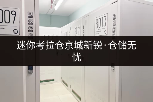 迷你考拉仓京城新锐·仓储无忧 迷你考拉仓京城新锐·仓储无忧