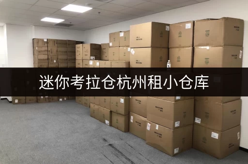 迷你考拉仓杭州租小仓库,迷你考拉仓让你存取无忧,全天候服务助你轻松管理 迷你考拉仓杭州租小仓库,迷你考拉仓让你存取无忧,全天候服务助你轻松管理