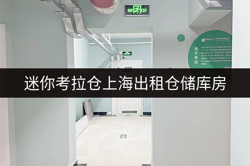 迷你考拉仓上海出租仓储库房,面积怎么选?五大实用案例教你轻松收纳! 迷你考拉仓上海出租仓储库房,面积怎么选?五大实用案例教你轻松收纳!