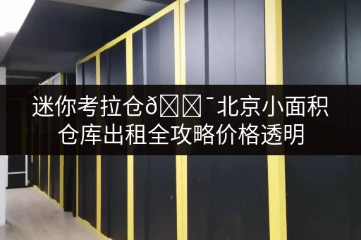 迷你考拉仓🎯北京小面积仓库出租全攻略价格透明，省钱又省心！