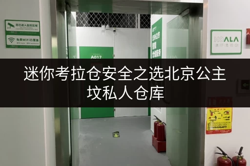 迷你考拉仓安全之选北京公主坟私人仓库,温湿监控守护您的每一件宝贝 迷你考拉仓安全之选北京公主坟私人仓库,温湿监控守护您的每一件宝贝