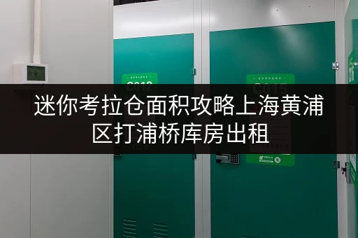 迷你考拉仓面积攻略上海黄浦区打浦桥库房出租，如何选择最合适的空间？