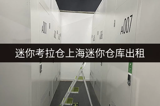 迷你考拉仓上海迷你仓库出租,省心存储方案全攻略 迷你考拉仓上海迷你仓库出租,省心存储方案全攻略