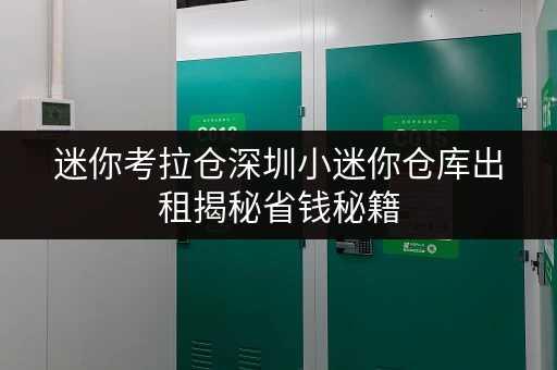 迷你考拉仓深圳小迷你仓库出租揭秘省钱秘籍，仓储费用不迷航