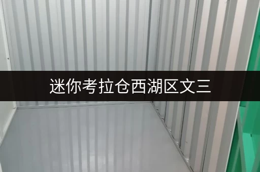 迷你考拉仓西湖区文三,迷你仓出租新选择——存取无忧,全时段服务体验 迷你考拉仓西湖区文三,迷你仓出租新选择——存取无忧,全时段服务体验