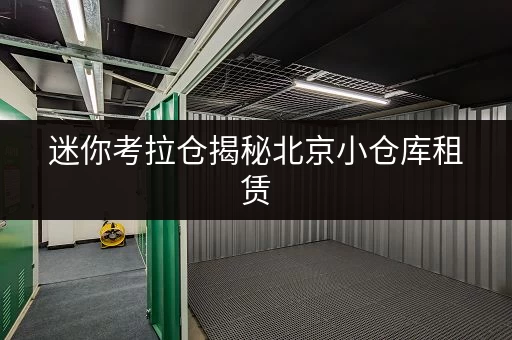 迷你考拉仓揭秘北京小仓库租赁，安全与温湿监控双重保障！