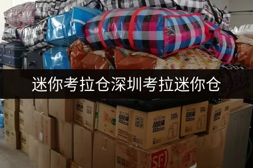 迷你考拉仓深圳考拉迷你仓,您的货物存放更省心存储方案 迷你考拉仓深圳考拉迷你仓,您的货物存放更省心存储方案