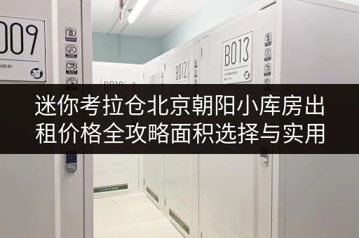 迷你考拉仓北京朝阳小库房出租价格全攻略面积选择与实用案例揭秘 迷你考拉仓北京朝阳小库房出租价格全攻略面积选择与实用案例揭秘