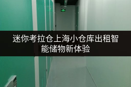 迷你考拉仓上海小仓库出租智能储物新体验,守护您的每一件宝贝 迷你考拉仓上海小仓库出租智能储物新体验,守护您的每一件宝贝