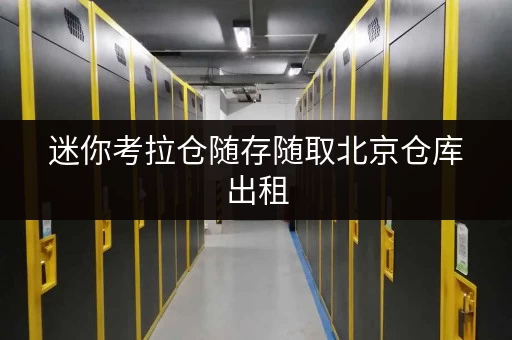 迷你考拉仓随存随取北京仓库出租,打造您的私人空间便捷管家 迷你考拉仓随存随取北京仓库出租,打造您的私人空间便捷管家
