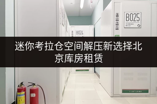 迷你考拉仓空间解压新选择北京库房租赁,释放家庭空间,提升生活品质 迷你考拉仓空间解压新选择北京库房租赁,释放家庭空间,提升生活品质