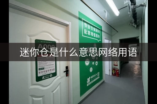 迷你仓是什么意思网络用语，迷你仓是干嘛的