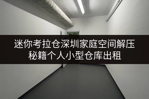 迷你考拉仓深圳家庭空间解压秘籍个人小型仓库出租,释放家,提升生活品质 迷你考拉仓深圳家庭空间解压秘籍个人小型仓库出租,释放家,提升生活品质