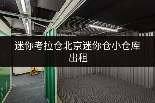 迷你考拉仓北京迷你仓小仓库出租,价格透明,随存随取,告别空间烦恼! 迷你考拉仓北京迷你仓小仓库出租,价格透明,随存随取,告别空间烦恼!