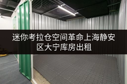 迷你考拉仓空间革命上海静安区大宁库房出租，释放家庭空间，提升生活品质全攻略