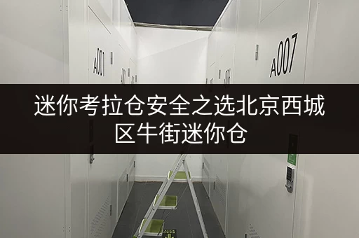 迷你考拉仓安全之选北京西城区牛街迷你仓,温湿监控守护您的每一件宝贝 迷你考拉仓安全之选北京西城区牛街迷你仓,温湿监控守护您的每一件宝贝