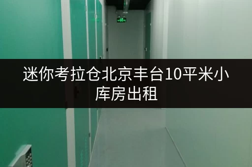 迷你考拉仓北京丰台10平米小库房出租,存取便捷,全天候服务,价格透明全攻略 迷你考拉仓北京丰台10平米小库房出租,存取便捷,全天候服务,价格透明全攻略