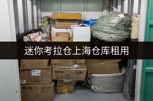 迷你考拉仓上海仓库租用，安全与温湿监控双重保障，费用透明透明！