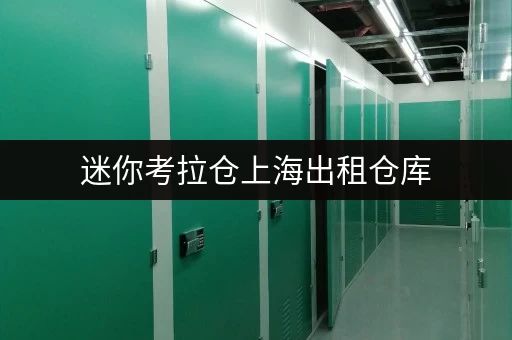 迷你考拉仓上海出租仓库,安全与温湿监控,守护您的每一件宝贝 迷你考拉仓上海出租仓库,安全与温湿监控,守护您的每一件宝贝