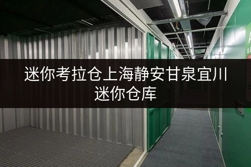迷你考拉仓上海静安甘泉宜川迷你仓库,安全与温湿监控,储物无忧! 迷你考拉仓上海静安甘泉宜川迷你仓库,安全与温湿监控,储物无忧!