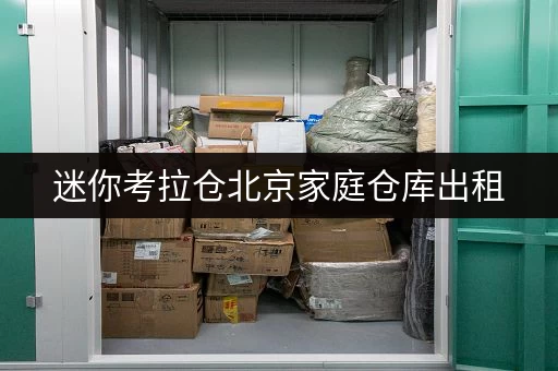 迷你考拉仓北京家庭仓库出租,安全与温湿监控,让您的物品安心“住”下来 迷你考拉仓北京家庭仓库出租,安全与温湿监控,让您的物品安心“住”下来