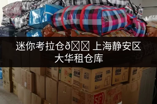 迷你考拉仓🏠上海静安区大华租仓库,为家庭空间开启全新篇章! 迷你考拉仓🏠上海静安区大华租仓库,为家庭空间开启全新篇章!