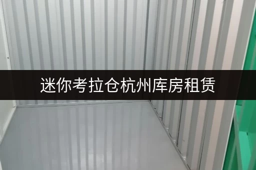 迷你考拉仓杭州库房租赁,安全与温湿监控双重保障,让您的物品安心“安家” 迷你考拉仓杭州库房租赁,安全与温湿监控双重保障,让您的物品安心“安家”