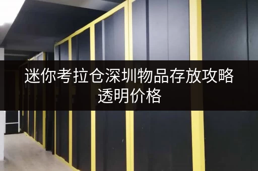 迷你考拉仓深圳物品存放攻略透明价格，省钱无忧