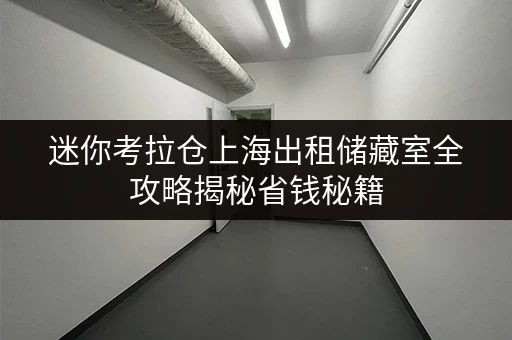 迷你考拉仓上海出租储藏室全攻略揭秘省钱秘籍,轻松打造透明价格体系 迷你考拉仓上海出租储藏室全攻略揭秘省钱秘籍,轻松打造透明价格体系