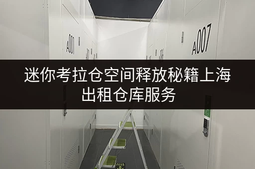 迷你考拉仓空间释放秘籍上海出租仓库服务,打造品质生活新天地 迷你考拉仓空间释放秘籍上海出租仓库服务,打造品质生活新天地