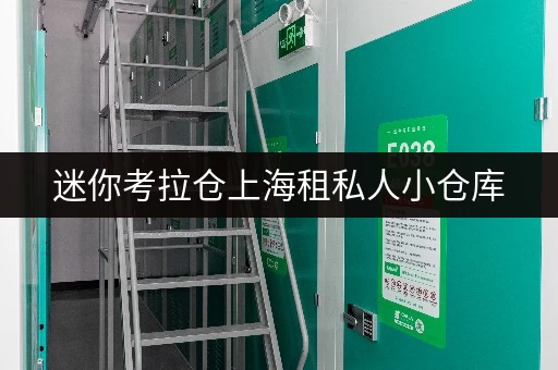 迷你考拉仓上海租私人小仓库,省钱攻略大揭秘 迷你考拉仓上海租私人小仓库,省钱攻略大揭秘