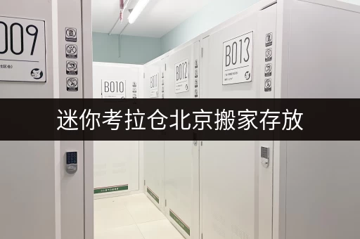 迷你考拉仓北京搬家存放,告别空间焦虑,品质生活从此开启 迷你考拉仓北京搬家存放,告别空间焦虑,品质生活从此开启