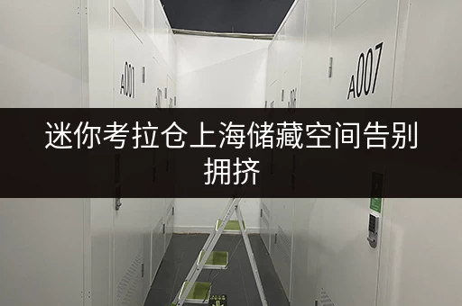 迷你考拉仓上海储藏空间告别拥挤,迷你考拉仓带你开启便捷存取新时代 迷你考拉仓上海储藏空间告别拥挤,迷你考拉仓带你开启便捷存取新时代