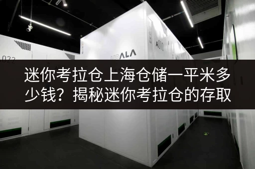 迷你考拉仓上海仓储一平米多少钱?揭秘迷你考拉仓的存取便利与全时段服务 迷你考拉仓上海仓储一平米多少钱?揭秘迷你考拉仓的存取便利与全时段服务