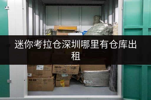 迷你考拉仓深圳哪里有仓库出租 迷你考拉仓深圳哪里有仓库出租